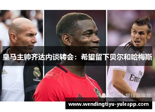 皇马主帅齐达内谈转会：希望留下贝尔和哈梅斯