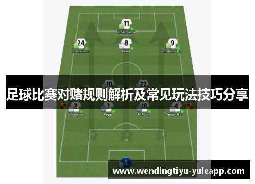 足球比赛对赌规则解析及常见玩法技巧分享