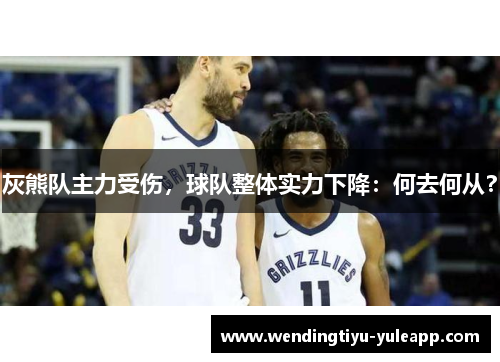 灰熊队主力受伤，球队整体实力下降：何去何从？