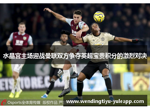 水晶宫主场迎战曼联双方争夺英超宝贵积分的激烈对决