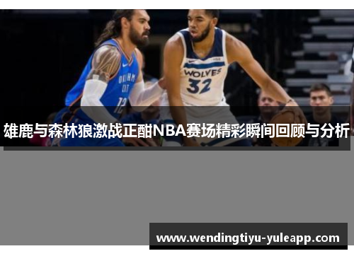 雄鹿与森林狼激战正酣NBA赛场精彩瞬间回顾与分析
