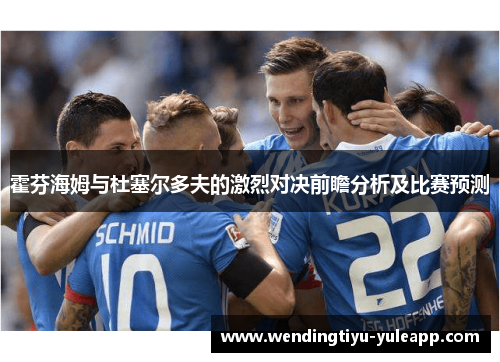 霍芬海姆与杜塞尔多夫的激烈对决前瞻分析及比赛预测