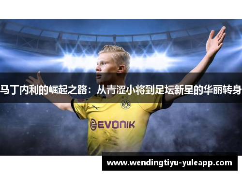 马丁内利的崛起之路：从青涩小将到足坛新星的华丽转身